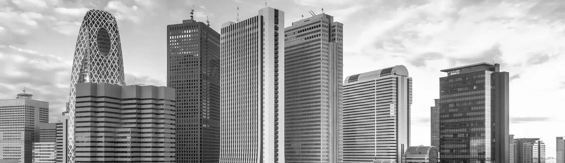 Skyline view of Shinjuku, Tokyo